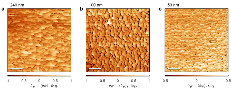 a, b, c -- Comparison of the phase-shift maps \( \delta\varphi(x,y) \) acquired for the Nb films of various thicknesses: 240 nm (panel a), 100 nm (panel b) and 50 nm (panel c). Scale bars correspond to \( 1\,\mu \)m (image size \( 5\times 5\,\mu \)m\( ^2 \), \( T=8.53\, \) K (a), 8.72 K (b) and 7.93 K (c), scanning height 80 nm, regime of the constant frequency 66.937 kHz (a), 48.178 kHz (b) and 62.804 kHz (c)). The images in panel a-c utilize the same datasets as Fig.~2,e-g in Ref. [\citeonline{Hovhannisyan-25}].