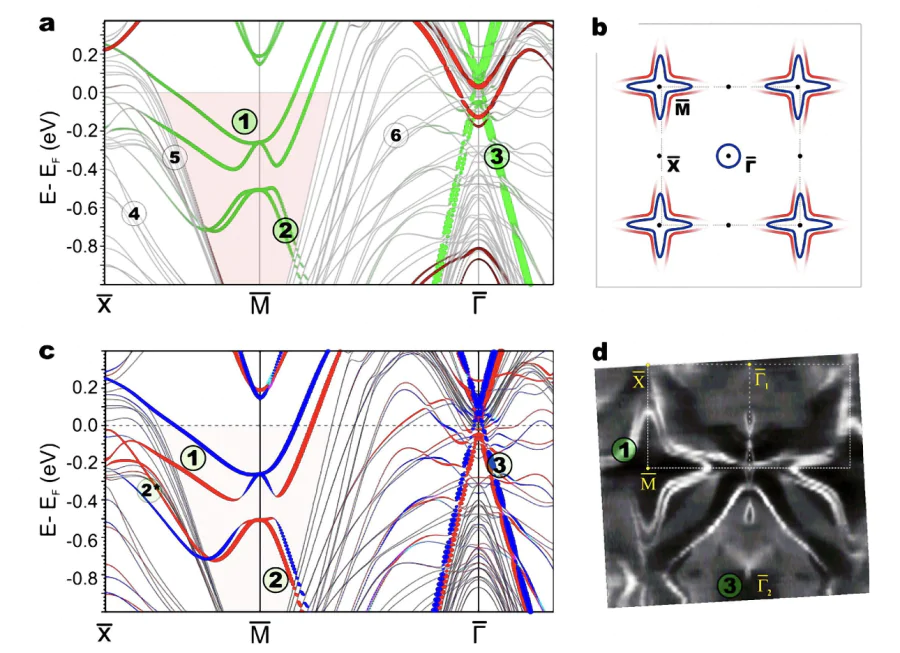Surface-related electronic structure of AFM-ordered GdRh\( _2 \)Si\( _2 \).(a) Calculated electronic band structure for a slab of AFM-ordered GdRh\( _2 \)Si\( _2 \). Surface electronic bands are shown in red for the Gd-terminated surface and green for the Si-terminated surface. The spin-split electron- and hole-like bands of the Shockley surface state at the \( \bar{{\rm M}} \)-projected band gap are marked as (1) and (2), respectively, while the Dirac-cone bands observed at the \( \bar{\Gamma} \) point are labeled as (3). Bulk-like projected bands are shown in gray and labeled as (4), (5), and (6). (b) Schematic view of the Fermi surface for the discussed two-dimensional electron systems (2DESs) at the center of the Brillouin zone and at the \( \bar{{\rm M}} \) point. Note that the lower of the two spin-split bands (1) of the Shockley state shown in (a) does not reach the Fermi energy along the \( \bar{{\rm M}} \)--\( \bar{{\rm X}} \) direction. (c) Calculated spin-resolved electronic band structure for the Si-terminated GdRh\( _2 \)Si\( _2 \) surface. The contribution of the topmost Si--Rh--Si--Gd block to the spin vector components is shown. Majority and minority bands are displayed in red and blue, respectively. The spin-polarized 2DESs are labeled in accordance with panel~a. (d) ARPES-derived Fermi surface of AFM-ordered, Si-terminated GdRh\( _2 \)Si\( _2 \), measured at a temperature of 1~K using 45~eV photons[109].