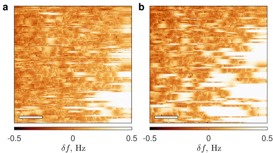 a, b -- Spatial distributions of the frequency shift \( \delta f(x,y) \) in 240-nm-thick Nb film measured in the regime with active frequency-controlled feedback (image size \( 5\times 5\,\mu \)m\( ^2 \), \( T\simeq 8.05\, \)K (panel a) and \( 7.92\, \)K (panel b), scanning height 100 nm, mean resonant frequency 66.916 kHz). Scale bars correspond to \( 1\,\mu \)m. Both panels correspond to an intermediate regime, however the fish-scale pattern is clearly visible.