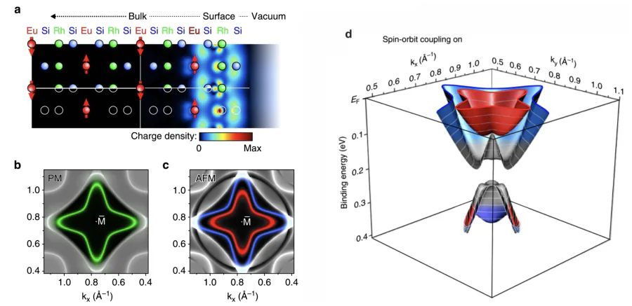 (a) Probability-density distribution (projected onto the \( ac \) plane) of the surface state at the \( \bar{{\rm M}} \) point obtained for the PM phase, superimposed on the slab crystal structure used for the band-structure calculations. (b,c) Calculated Fermi surfaces obtained from bulk and slab calculations for the PM and AFM phases, respectively. The diamond-shaped surface state lies within the large gap (black) of the projected bulk bands (gray) around the \( \bar{{\rm M}} \) point. In the PM phase the surface state is shown in green (unsplit), while in the AFM phase it is split and highlighted in red and blue. (d) Three-dimensional representation of the surface state calculated for the AFM phase including spin-orbit coupling. Close to the \( \bar{{\rm M}} \) point, spin-orbit interaction opens a gap associated with an avoided band crossing, which leads to a change in the spin character of the bands near the gap edges; these states are indicated in gray[25].