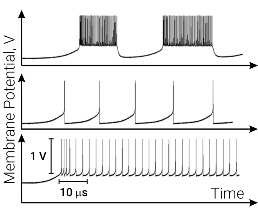 Experimental firing patterns obtained from the fabricated chip containing 202 neurons using 0.35 μm CMOS technology. Demonstrated patterns are responses to the input current step for various parameters of bias voltages at nodes \( c \) and \( d \). This figure was adapted and modified from Ref. [39].