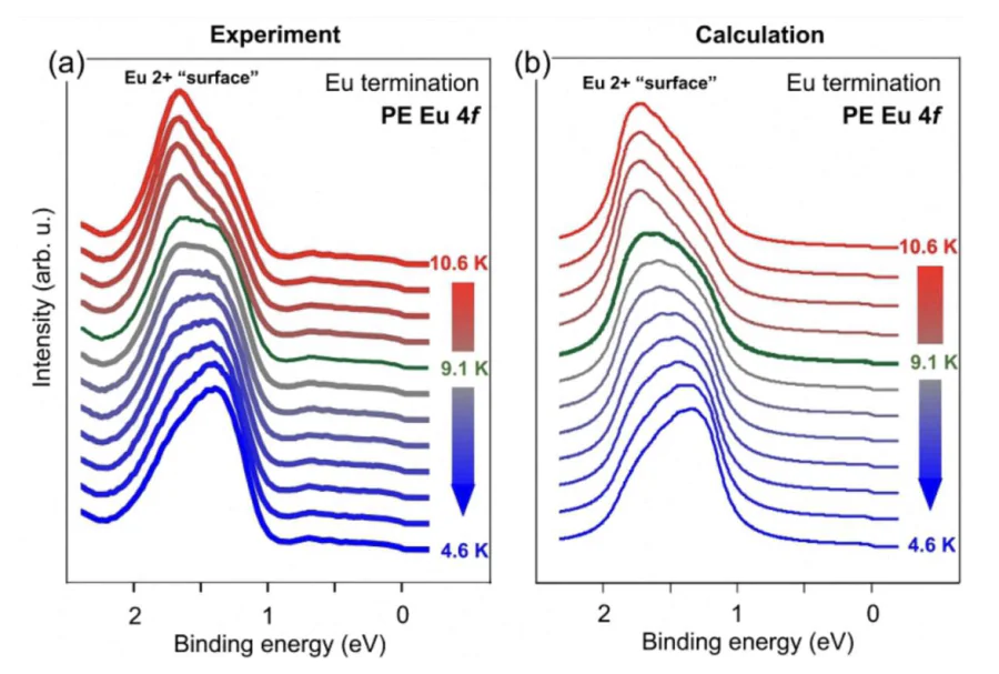 FM properties of the Eu-terminated EuIr\( _2 \)Si\( _2 \).(a) Measured and (b) calculated normal-emission PES spectra of the Eu\( ^{2+} \) 4\( f \) multiplet for the Eu-terminated surface as a function of temperature, with spectra taken using circularly polarized photons of 110 eV. In the calculations, a critical temperature of 9.5~K and magnetization oriented along the [100] direction were assumed[30].