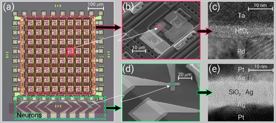 a – Microphotograph of the fully memristive spiking neural network, consisting of memristive synapse crossbar (in red frame) and memristive neurons (in blue frame). b – SEM (scanning electron microscopy) microphotograph of a single memristive synapse. c – TEM (transmission electron microscopy) image of the synapse cross-section with the structure of drift memristor, \( Pd/HfO_x/Ta \). d – SEM microphotograph of a single memristive neuron. e – TEM image of the neuron cross-section with the structure of diffusive memristors, \( Pt/Ag/SiO_x: Ag/Ag/Pt \). These images were adapted from Ref. [64].