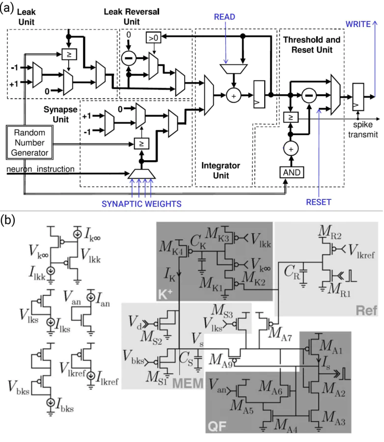 Semiconductor solutions for realising bio-inspired neuron functions: a – TrueNorth neuron circuit, b – Neurogrid neuron’s soma circuit. These images were adapted from Refs. [34, 35].