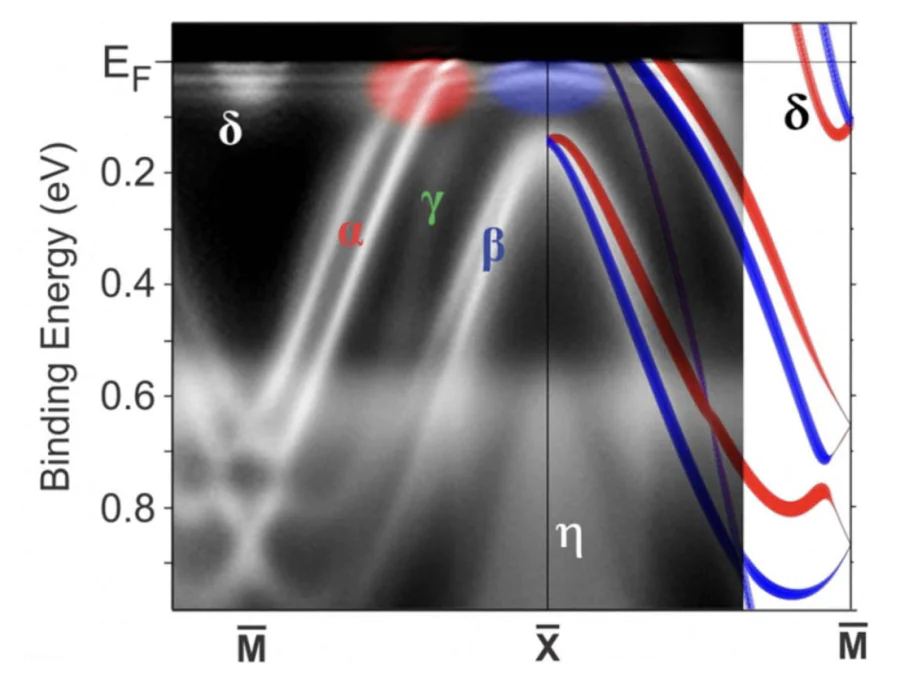 ARPES data taken from the Si-terminated surface of YbIr\( _2 \)Si\( _2 \) at a temperature of 1~K along the \( \bar{\rm M} \)–\( \bar{\rm X} \) direction, superimposed with itinerant bands calculated by DFT. The spin polarization of the calculated bands is indicated by red and blue colors. Regions where the interplay between \( 4f \) and \( spd \) states occurs near \( E_\mathrm{F} \) are highlighted by red and blue patches[120].