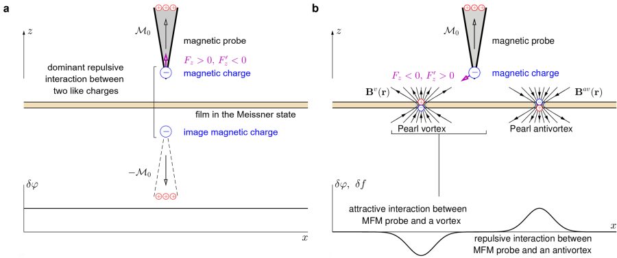 a -- Schematic illustration depicting the magnetostatic interaction between an extended magnetic probe and a vortex-free superconducting film due to the ideal Meissner screening. b -- Schematic illustration depicting the magnetostatic interaction between an extended magnetic probe and pinned Pearl vortex/antivortex. Red and blue arrows illustrate the configurations of the magnetic field \( {\bf B}({\bf r}) \) above a Pearl vortex (on the left) and a Pearl antivortex (on the right). Interestingly, that the \( {\bf B}({\bf r}) \) distributions above the superconducting film resemble the structure of the electric field \( {\bf E}({\bf r}) \) induced by positive and negative monopoles, positioned at the upper side of the film at the centers of a Pearl vortex and an Pearl antivortex, respectively (see comment [\citeonline{Comment-vortex}]). This qualitatively explains why the MFM probe attracts to the pinned vortex and repels from the pinned antivortex. The resulting profile of the phase shift \( \delta\varphi(x) \) and the frequency shift \( \delta f(x) \) for a superconducting film with pinned vortices should combine both components (uniform and nonuniform), illustrated by thick black lines in the lower parts of panels a and b (see figure~\ref{Fig03-V-and-AV}).